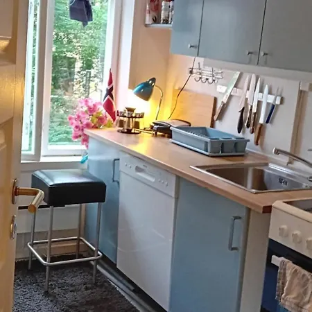 Cozy And Sentrum * Oslo